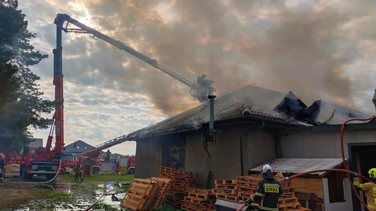 60 strażaków walczy z pożarem pod Nasielskiem. Płonie stolarnia