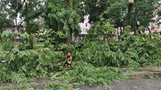 Blisko 150 interwencji strażackich po wczorajszej burzy