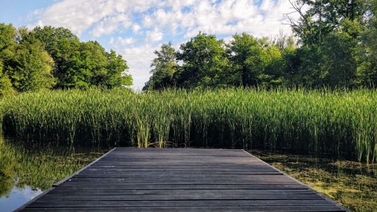 Budowa pomostu nad jeziorem – jak wybrać wykonawcę i zaplanować inwestycję?
