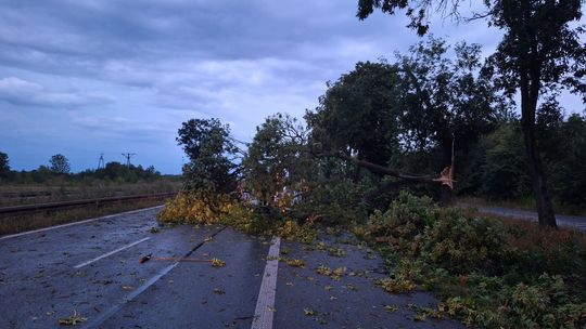 Burze w regionie nie były groźne, ale strażacy interweniowali kilkadziesiąt razy