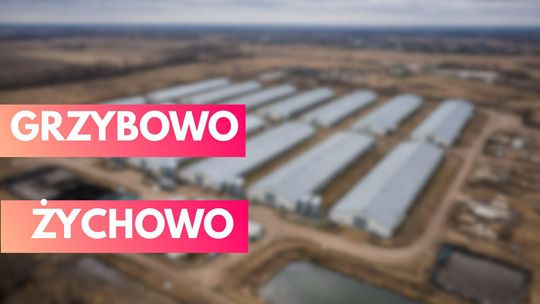 Decyzja rady korzystna dla mieszkańców Żychowa i Grzybowa w sprawie budowy fermy drobiu