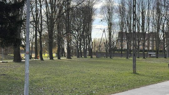 Demontaż starego oświetlenia w Parku Wolności w Płońsku