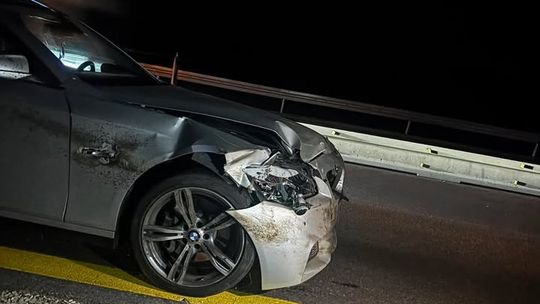 Dwa wypadki z udziałem dzikich zwierząt w powiecie płońskim