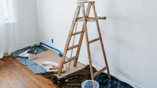 Farby do wnętrz – jak wybrać najlepsze? Sprawdź ofertę Remontownia24