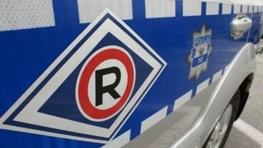 Jajko z nielegalną niespodzianką znalezione przez policjantów