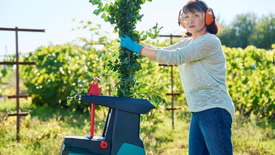 Jak zagospodarować ogród – praktyczne wskazówki i niezbędny sprzęt