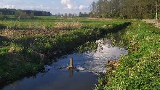 Jazy z terenu powiatu płońskiego zostaną odbudowane 
