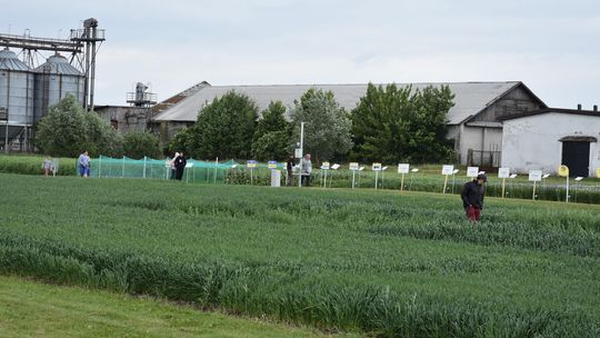 MDR inne niż dotychczas, ale mimo wszystko cieszące się dużym zainteresowaniem 