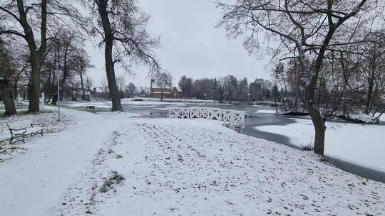 Miejsce dla zakochanych w Kroczewie. To najbardziej romantyczny park w powiecie płońskim