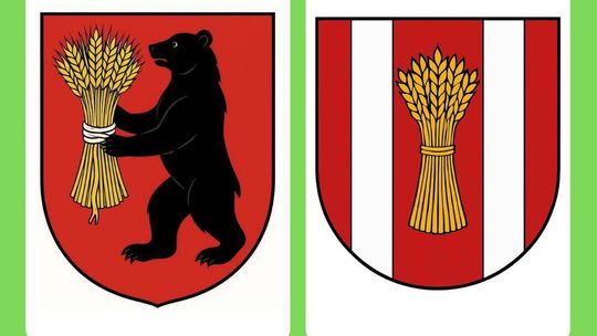 Mieszkańcy Gminy Załuski wybiorą swój herb Mieszkańcy Gminy Załuski wybiorą swój herb