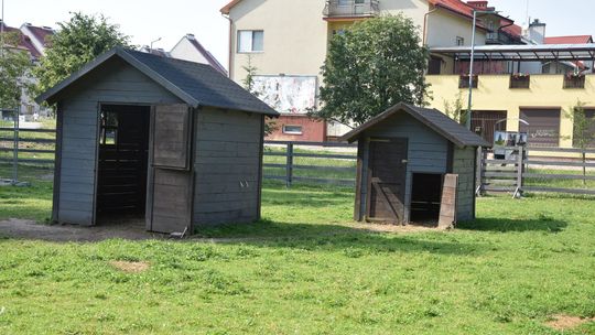 Mini zoo nie zostanie zamknięte. Być może pojawią się w nim nowe zwierzęta Mini zoo nie zostanie zamknięte. Być może pojawią się w nim nowe zwierzęta