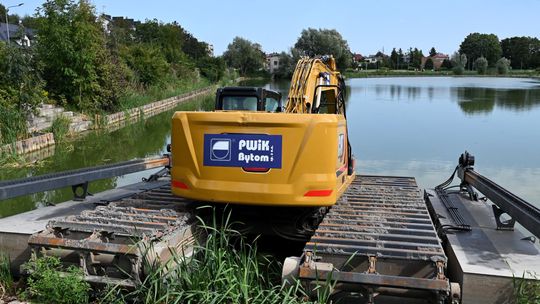 Na Rutkach w Płońsku pojawił się refuler