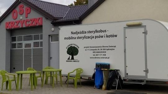 Nadjeżdża sterylkobus dla psów i kotów. Mobilna sala operacyjna zaparkuje w Soboklęszczu