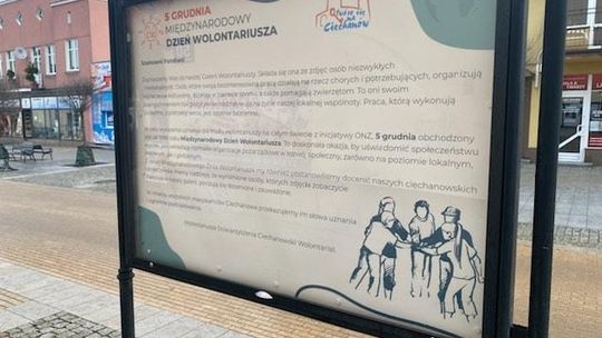 Najaktywniejsi wolontariusze w galerii na deptaku. Szukają społeczników