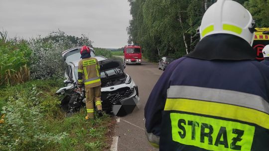 Nasielsk: na drogę wybiegł dzik. Auto uderzyło w drzewo