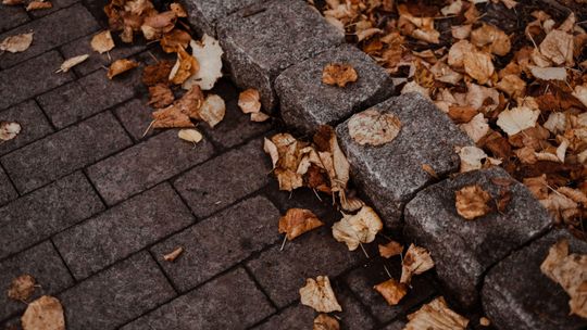 Obrzeża, krawężniki i palisady przy kostce brukowej – czym się różnią i gdzie je stosować?