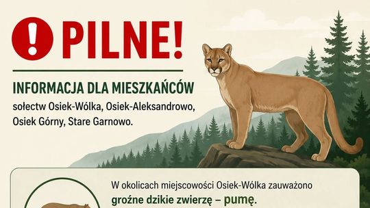 Pilny komunikat dla mieszkańców. W okolicach Osieka-Wólki zauważono pumę