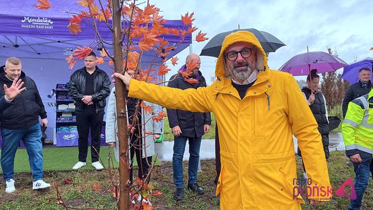 Płoński Mondelez świętuje 50-lecie. W parku posadzono symboliczne drzewa