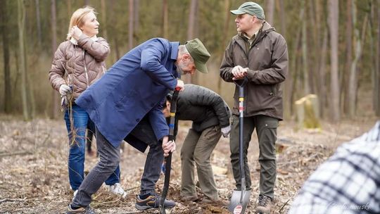 Pod Ciechanowem sadzą Las Pamięci Jana Pawła II