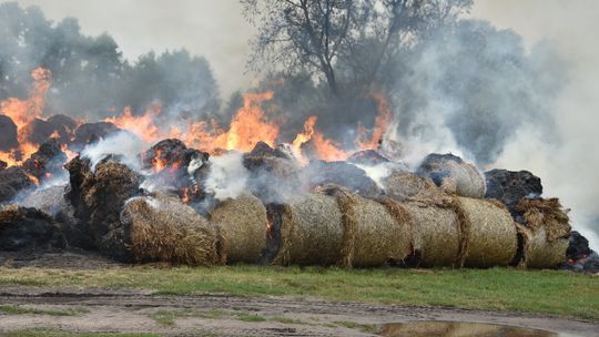 Podpalił ze złości. Straty właściciela z Szerominka wyniosły 80 tys. zł