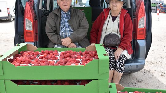 Pogoda znów nie sprzyja plantatorom owoców