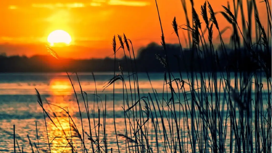 Pomysł na majówkę? – sonda Radia Płońsk