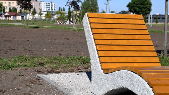 Ponad 1,3 hektara kolorów i nowe leżaki nad Płonką