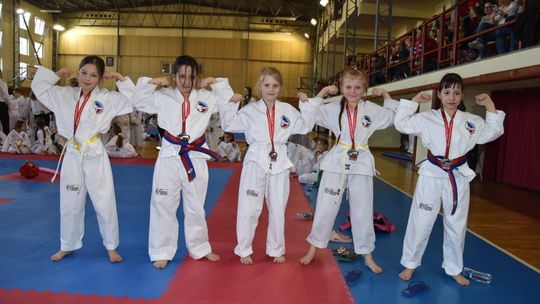 Ponad 600 uczestników. Święto taekwondo w Płońsku