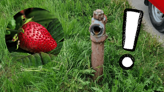 Ponadnormatywny pobór wody przekracza techniczne możliwości stacji w gminie Czerwińsk nad Wisłą