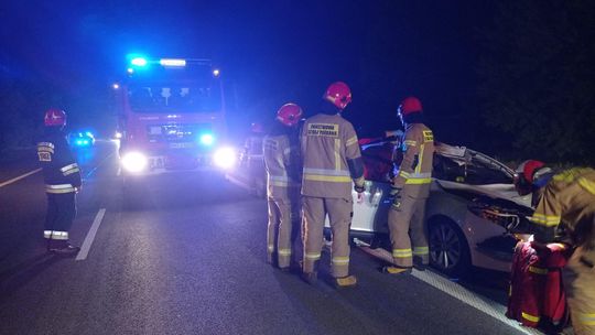 Poseł PiS w szpitalu. Uderzył na drodze w łosia