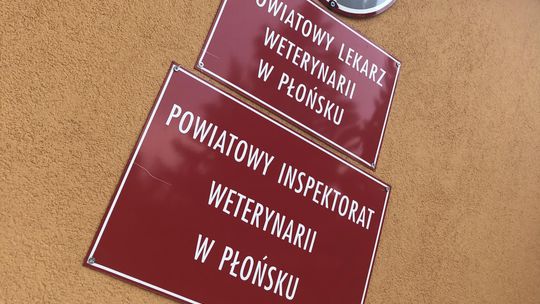 Pow. płoński w obszarze zagrożonym wścieklizną. Nowe obowiązki dla właścicieli psów i kotów