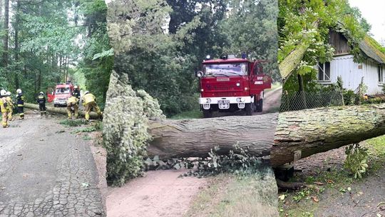 Powalone drzewa, zerwany dach i połamane gałęzie. Strażacy podsumowali miniony weekend