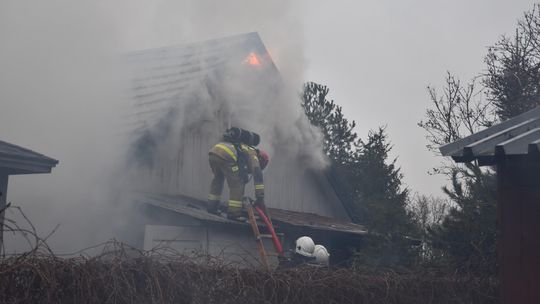 Pożar drewnianego domku. Groziło wybuchem butli gazowych