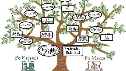 Poznaj tajemnice drzewa genealogicznego!