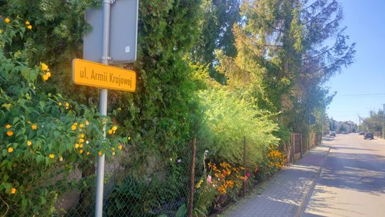 Radny składa wniosek o postawienie fotoradaru na jednej z ulic w Płońsku