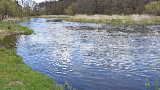 Rekordowa liczba uczestników podczas sprzątania Wkry