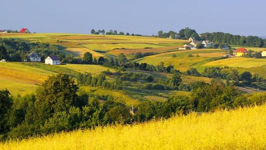 Rusza konkurs dla najaktywniejszych sołectw