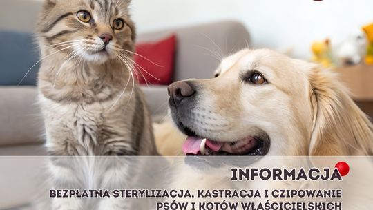 Rusza program sterylizacji i kastracji psów w Płońsku