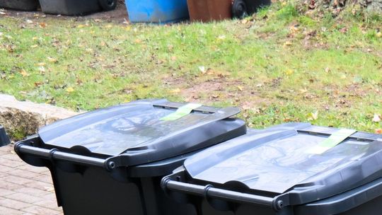 Ruszają kontrole posesji na terenie Płońska. Chodzi o estetykę i bezpieczeństwo