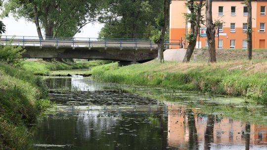 Rzeka Raciążnica ponownie zanieczyszczona 