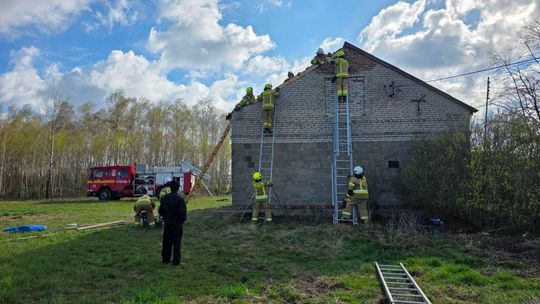 Silny wiatr w regionie. Ponad 20 interwencji strażaków Silny wiatr w regionie. Ponad 20 interwencji strażaków