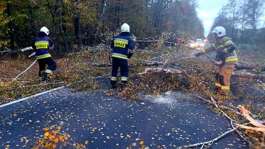 Silny wiatr zrywał dachy i przewracał drzewa w powiecie sierpeckim