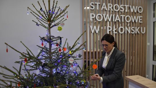 Starosta ubrała choinkę, rozbiorą ją mieszkańcy