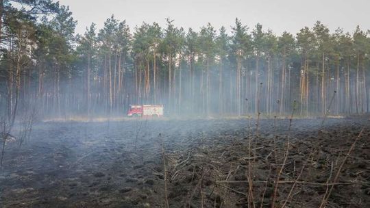 'STOP wypalaniu traw' - strażacy ponawiają apel!