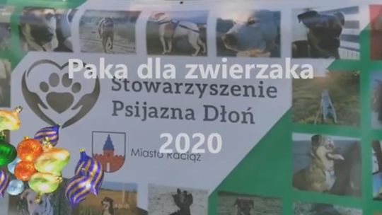 Świąteczna paka dla zwierzaka 2020