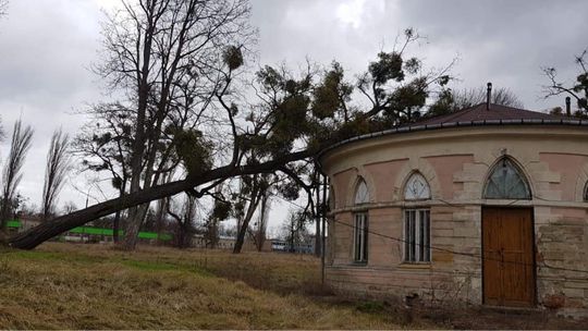 Trwa liczenie strat po wichurach. Wiatr zdmuchnął dachy z 18 domów, ucierpiała też Twierdza Modlin (zdjęcia)