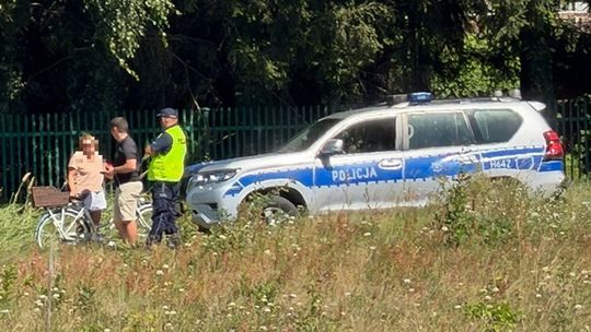 Trwają poszukiwania pumy. Policja apeluje o zachowanie ostrożności