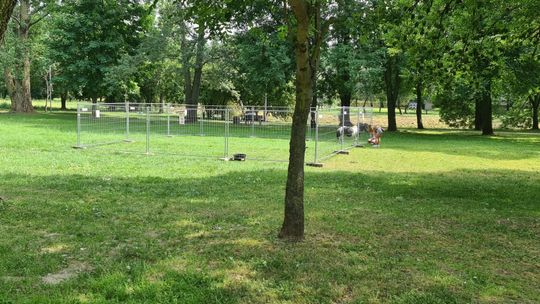 Urząd Miejski uspokaja: kucyki w minizoo są bezpieczne