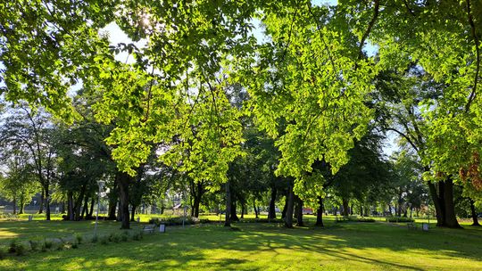 W czynie społecznym wysprzątają park w Kroczewie