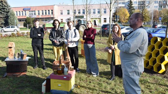 Warsztaty pszczelarskie w nowym płońskim skwerku 